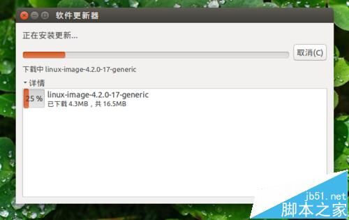 Ubuntu系统怎么手动进行更新升级?