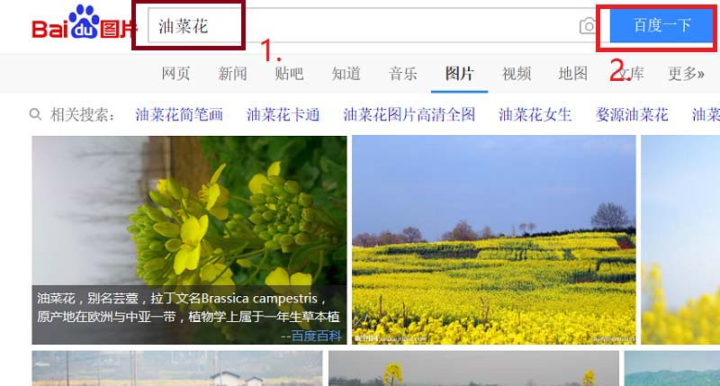 edge浏览器怎么找图并获取复制链接?