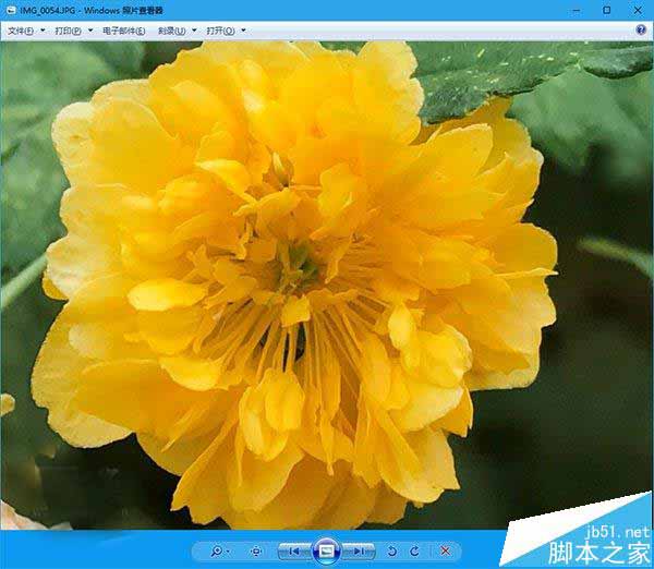 Win10系统怎么正确显示苹果iPhone7拍摄照片?