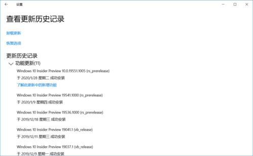 Win10 19551快速预览版怎么手动更新？