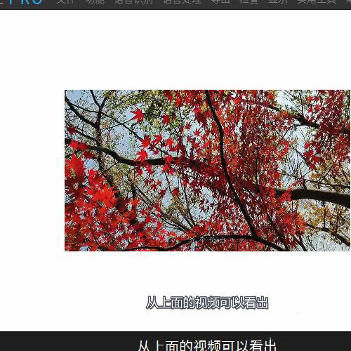 arctime视频字幕重叠显示该怎么办? arctime文字重叠的解决办法
