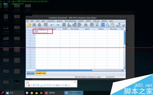 Linux Deepin安装SPSLinux激活出现中文乱码怎么办？