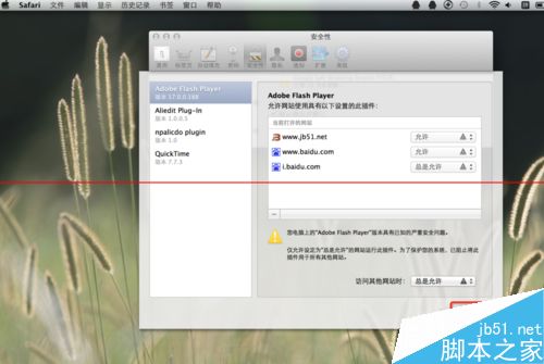mac系统flash老是过期一个月更新好几次该怎么办？