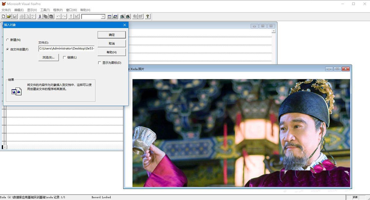 vf6.0怎么给自由表添加照片? vf6.0导入照片的技巧