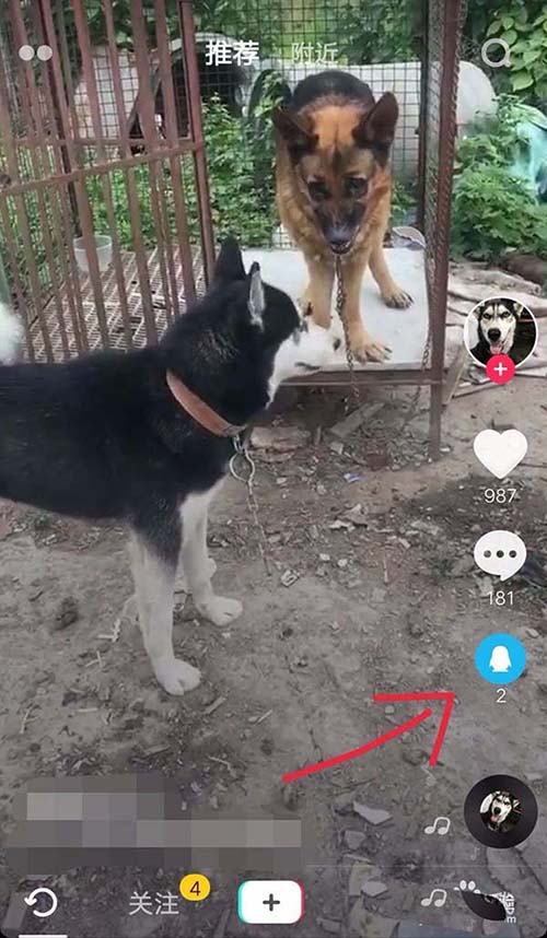 抖音小视频怎么设置为手机动态壁纸?