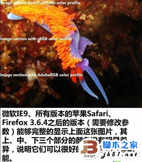 照片传到网上后出现变色(色差)问题的原因及解决方法(图文)