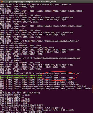 Torch7在Ubuntu下的安装与配置教程详解(torch入门使用)
