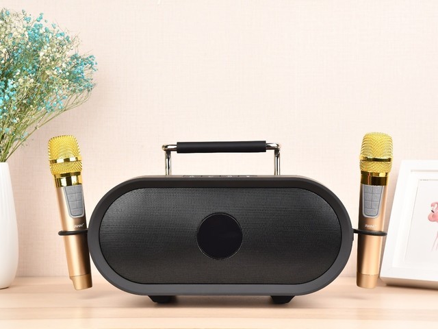 RHM皇马K666音响怎么样 RHM皇马K666移动K歌音响详细图文评测