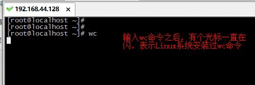 Linux怎么统计文本的的行数/单词数和字符数?
