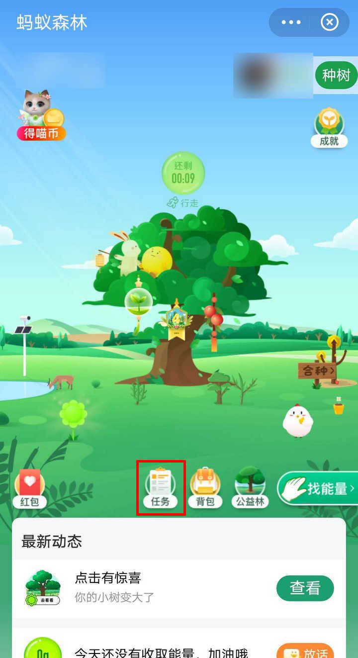 支付宝蚂蚁森林怎么换装柿子树装扮并发红包?