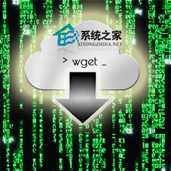 Linux系统中下载文件的wget命令操作实例