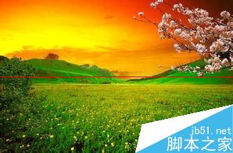 打印机出故障怎么检查与维修？