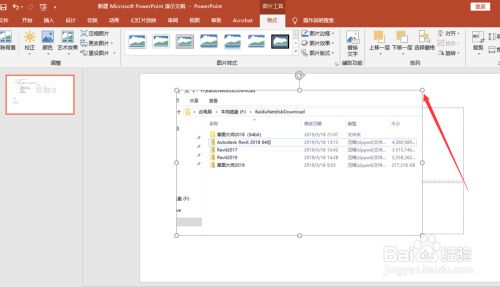 PPT2019怎么插入图片？PPT2019插入图片教程
