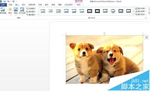Word2016插入图片怎么调整亮度?