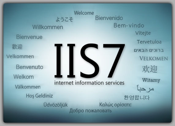 Win7 IIS7.5运行ASP时出现500错误的解决办法