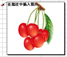 excel怎么打造个性的批注?