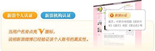 新浪微博如何加v 新浪微博加v认证方法图文介绍