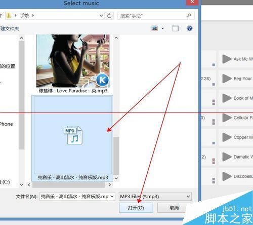 VideoScribe软件本地音乐在哪里添加？