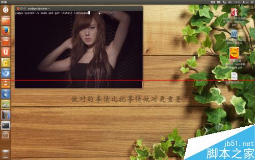 ubuntu12.04系统怎么安装PPS播放器？