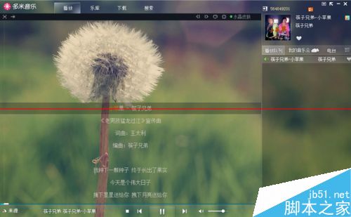 多米音乐怎么设置歌词？