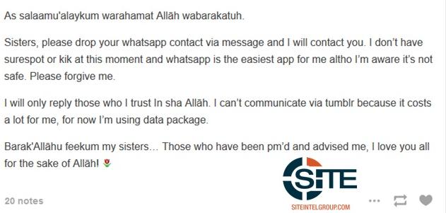 哪些通讯APP是安全加密的 ISIS都在使用哪些通讯APP
