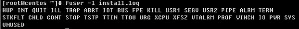 在Linux上如何使用fuser工具来查询文件的用户