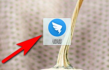 钉钉电脑版怎么开启或关闭无障碍功能?