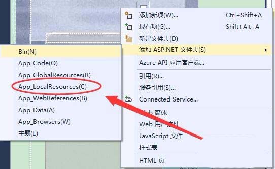 vs添加ASP.Net文件夹中各选项是什么意思?