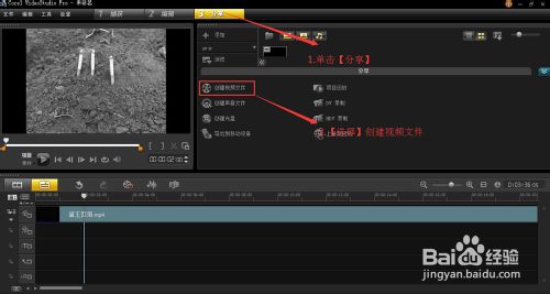 会声会影制作反转视频（倒放视频）的技巧