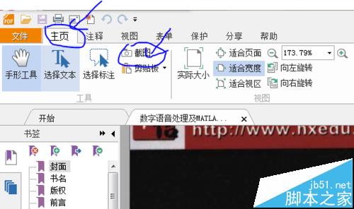 pdf中的大图怎么截图并保存?