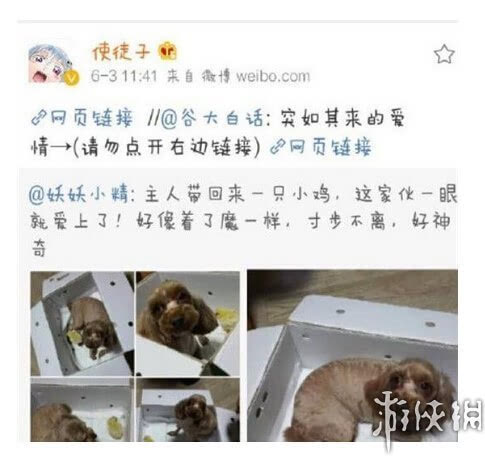 盘点网络上盛传的"微博界八大杀器" 你造吗？