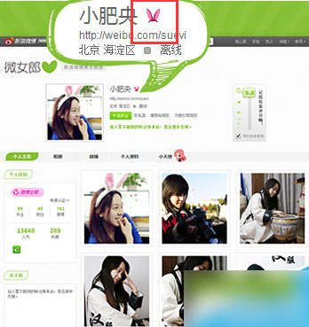新浪微博怎么申请微女郎？微女郎申请条件
