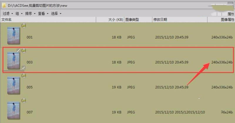 ACDSee Pro 6.0批量裁剪/批量剪切图片教程