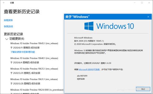 Win10 19645快速预览版怎么手动更新