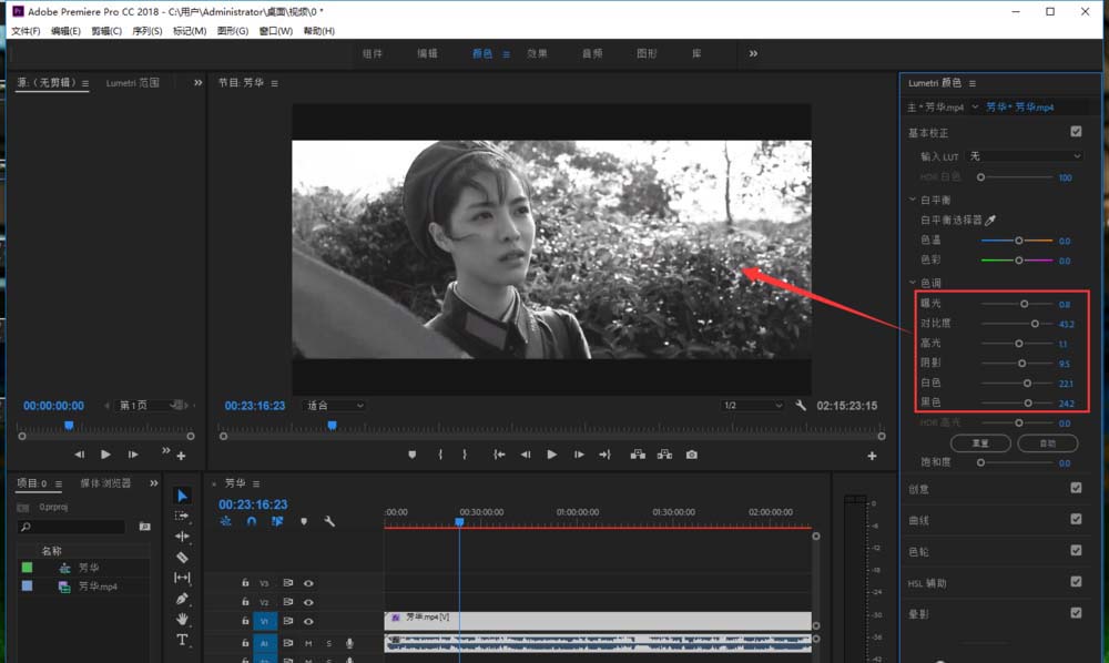 premiere2018视频怎么去色制作黑白效果?