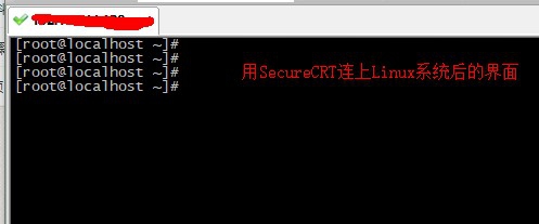 Linux怎么统计文本的的行数/单词数和字符数?