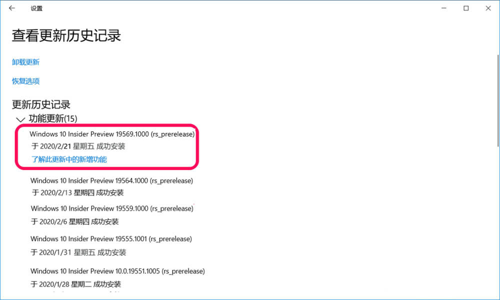 Win10快速预览版19569怎么手动更新升级?