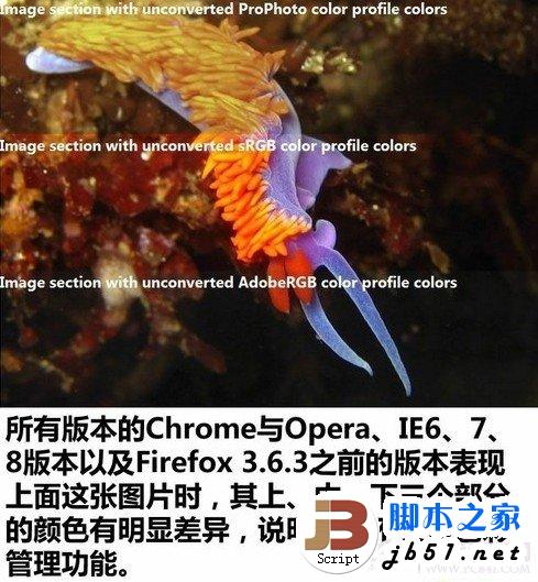 照片传到网上后出现变色(色差)问题的原因及解决方法(图文)