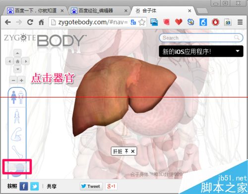 人体浏览器是什么？谷歌人体浏览器的使用方法