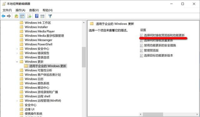 Win10如何关闭自动更新 阻止电脑自动升级到Win10 21H1版本方法