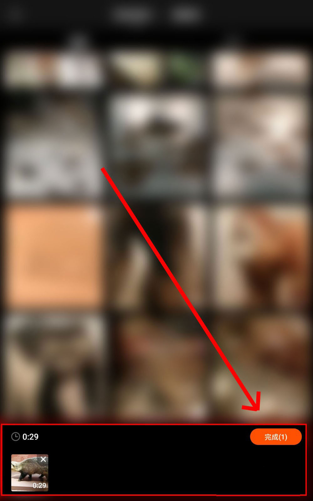 快影视频怎么添加趣味背景音乐? 快影添加视频背景音乐的技巧