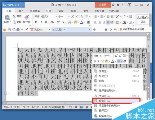 word文本字体显示不全怎么解决?字体全部显示出来方法介绍