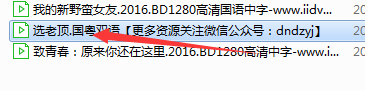 爱奇艺万能播放器字幕怎么手动添加?