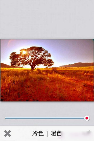 PhotoViva怎么用？PhotoViva安卓版使用教程(附photoviva免费下载)