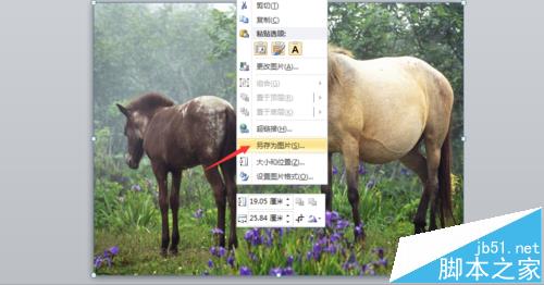 PPT怎么制作戴上望远镜看图片的效果?