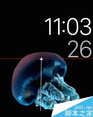 怎么用苹果Apple Watch手表测试心率心跳？