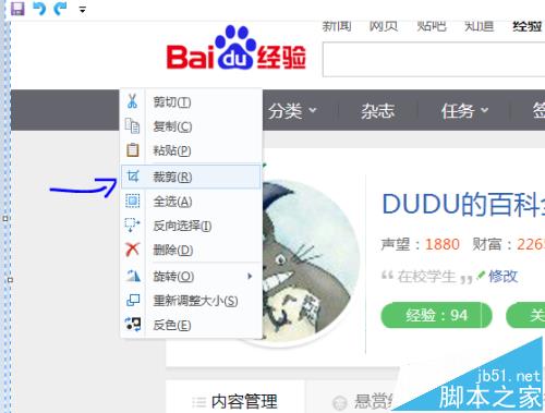 windows自带的画图工具怎么裁剪图片?