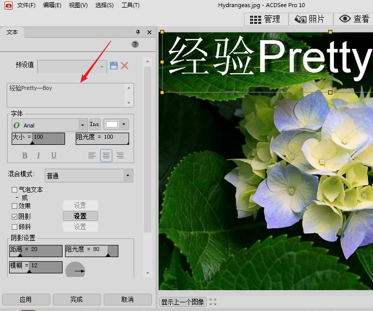 acdsee怎么编辑图片? acdsee的使用教程