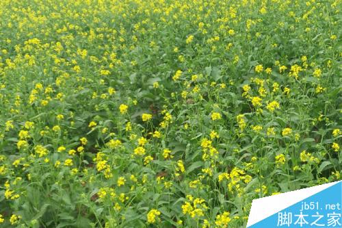 win7怎么把自拍照设定为电脑桌面?如何自动更新?