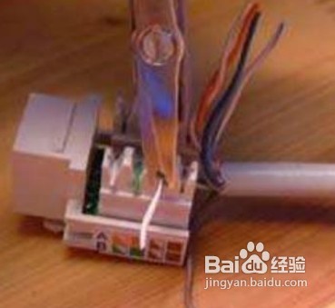 网线插座接法、网线模块制作及其安装方法